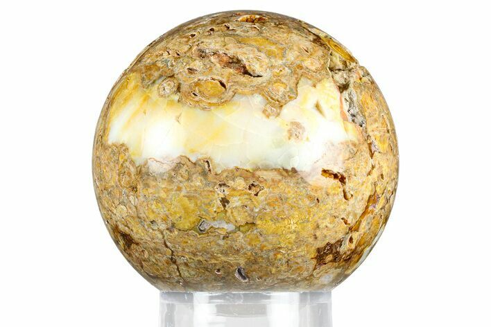 Polished Fossil Stromatolite Sphere - Green River Formation #369854